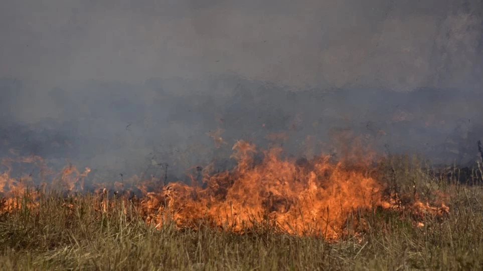 Πυρκαγιά στην Ηλεία – Άμεση επέμβαση της πυροσβεστικής